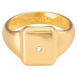 Oroton Fawne Rectangle Signet Ring in Gold/Clear and Brass Base With 18CT Gold Plating /Cubic Zirconia for Women