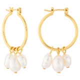 Oroton Farah Hoops in Gold and Brass Base With 18CT Gold Plating for Women