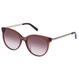 Front product shot of the Oroton Saylor Sunglasses in Cocoa and Acetate for Women