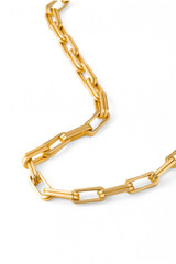 Internal product shot of the Oroton Isla Necklace in Worn Gold and Brass for Women