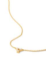Front product shot of the Oroton Everly Necklace in Gold/Clear and Brass for Women