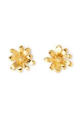 Front product shot of the Oroton Daisy Studs in 18K Gold and Sustainably sourced 925 Sterling Silver for Women