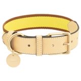 Front product shot of the Oroton Archer Webbing Dog Collar in Daisy/Natural and Polyester webbing for Women