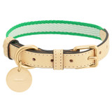 Front product shot of the Oroton Archer Webbing Dog Collar in Jewel Green/Natural and Polyester webbing for Women