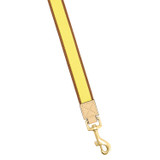 Front product shot of the Oroton Archer Webbing Dog Lead in Daisy/Natural and Polyester webbing for Women