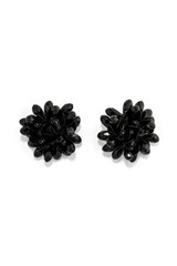 Front product shot of the Oroton Floret Earrings in Black and Brass for Women