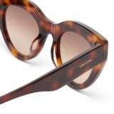 Front product shot of the Oroton Dallas Sunglasses in Toffee and Acetate Material for Women