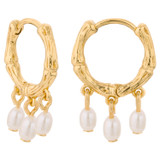 Oroton Valentina Multi Pearl Huggies in Gold/White and Brass Base With 18CT Gold Plating for Women