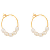 Oroton Violet Pearl Mini Hoops in Gold and Brass Base With 18CT Gold Plating for Women