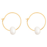 Front product shot of the Oroton Skye Pearl Hoops in Gold and Brass Base With 18CT Gold Plating for Women