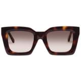 Front product shot of the Oroton Reese Sunglasses in Dark Tort and Acetate for Women
