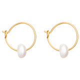 Oroton Skye Pearl Mini Hoops in Gold and Brass Base With 18CT Gold Plating for Women
